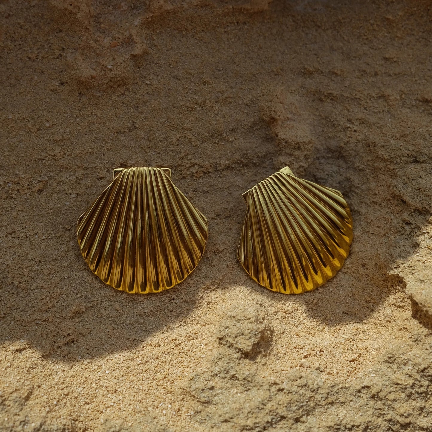 Seashell Splendor Stud Earrings
